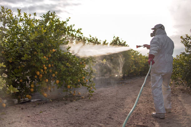 Pest Control for Hotels in Moores Mill, AL